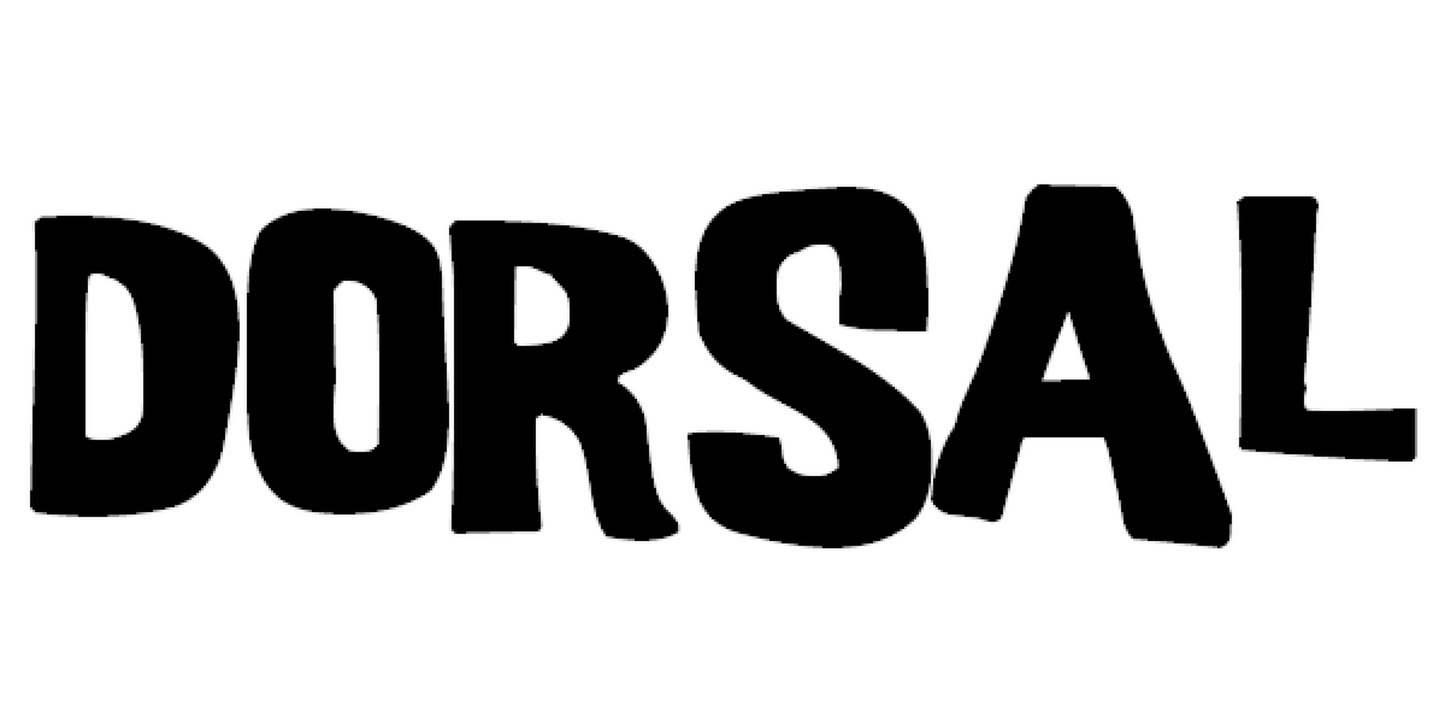 DORSAL Sunguard No Fade Full Size Truck Tailgate Pad for Bicycle and Mountain Bikes