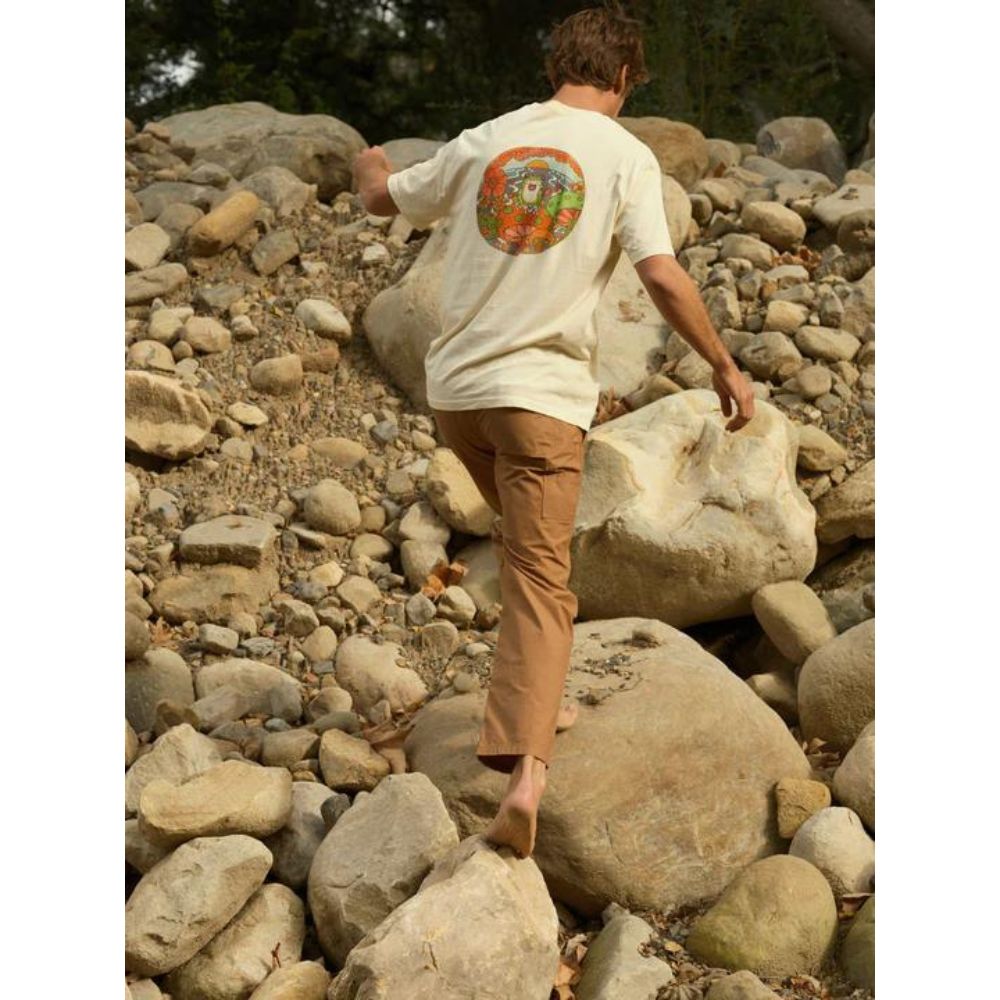 Mollusk Pinnacle Pants - Almond