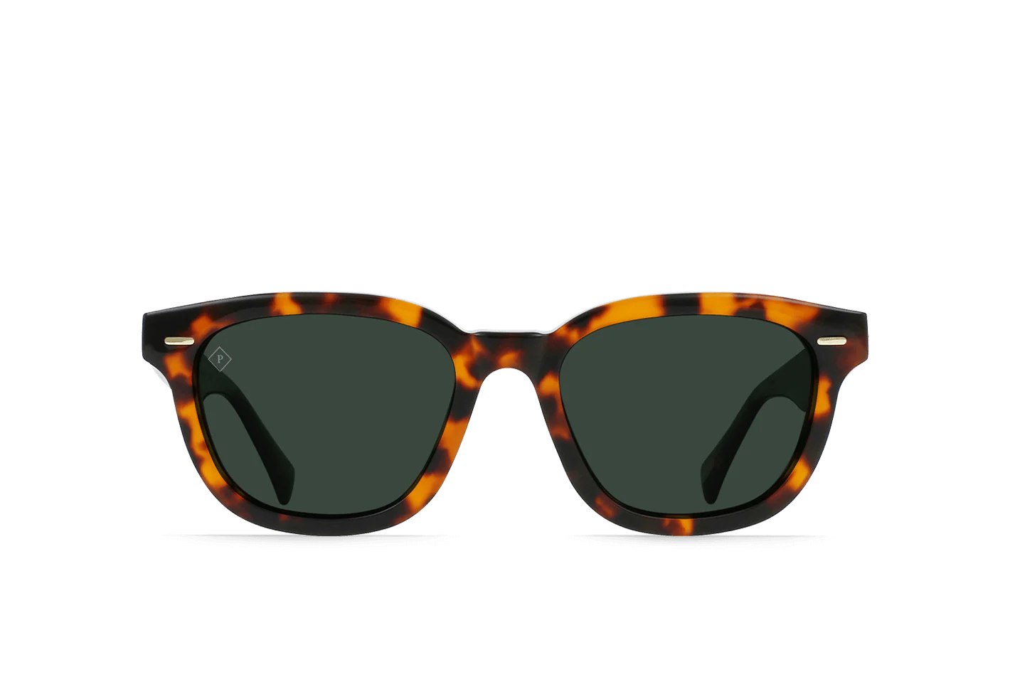 Raen Myles Huru Polarized Sunglasses