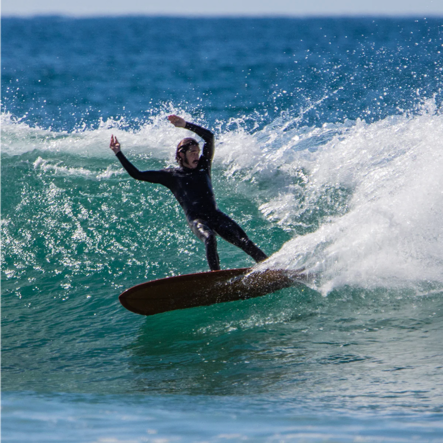 Pleasant Pheasant surfboard