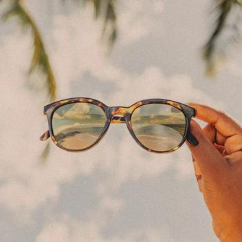 Makani Tortoise Flash Gold Polarized Sunglasses