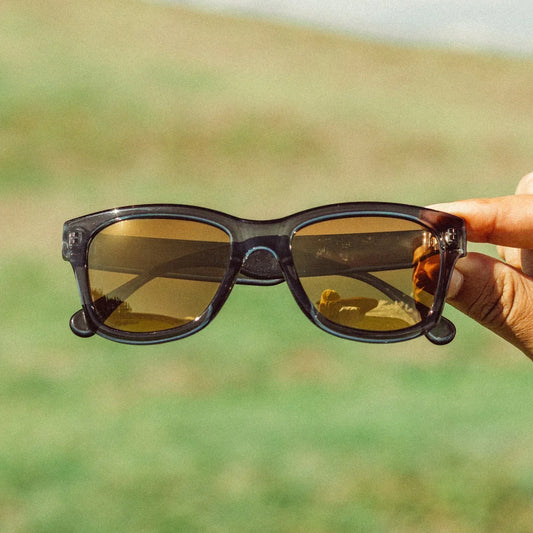 Targa Pine Bronze Polarized Sunglasses