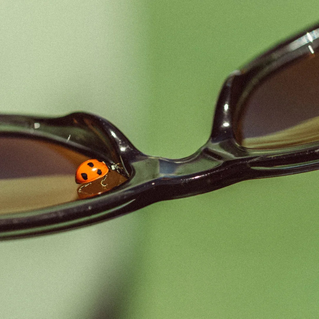 Targa Pine Bronze Polarized Sunglasses