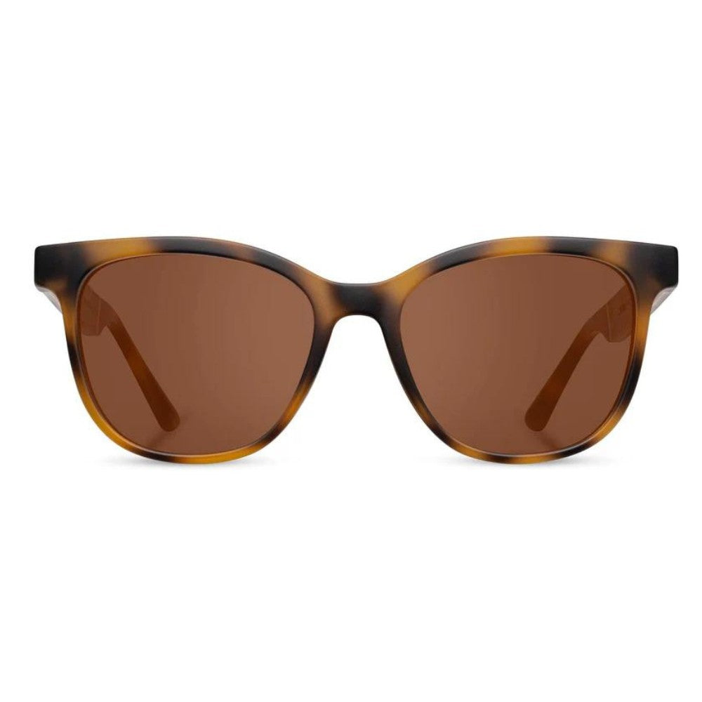 CAMP Sunglasses: Cove - Matte Tortoise/Walnut (Brown Polarized)