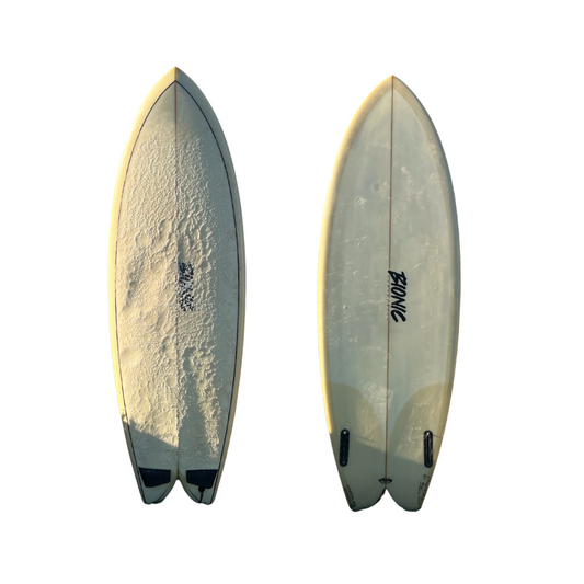 Fish – SurfersGuild Fish – SurfersGuild